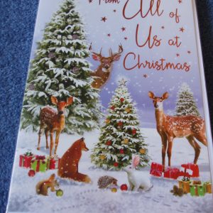 All of Us Christmas C85170