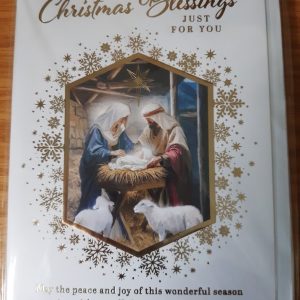 Individual Christmas Card XMPR-51722